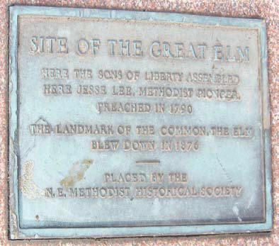 Site of the Great Elm on Boston Common