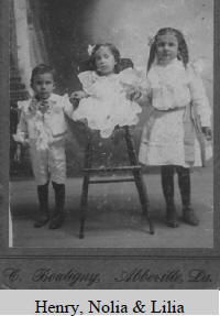 henry_nolia_lilia