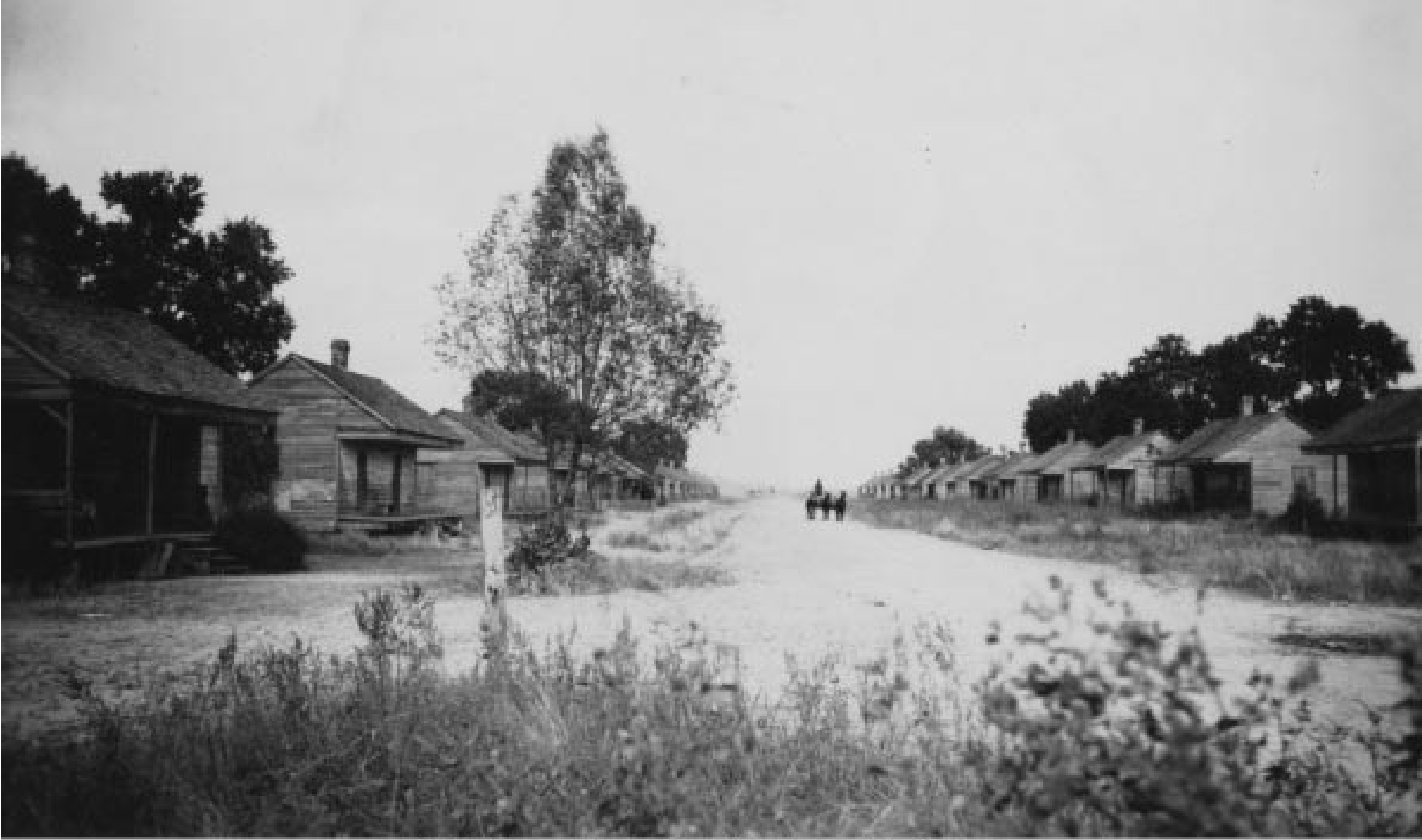 Example of plantation slave quarters in Louisiana, State Library of Louisiana (https://library.la.gov/)