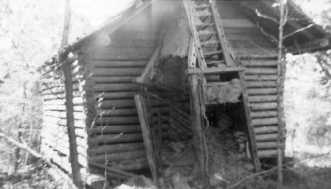 Slave quarters at the former home of Colonel Daniel Edwards in Tangipahoa Parish Louisiana in 1955, State Library of Louisiana (https://library.la.gov/)