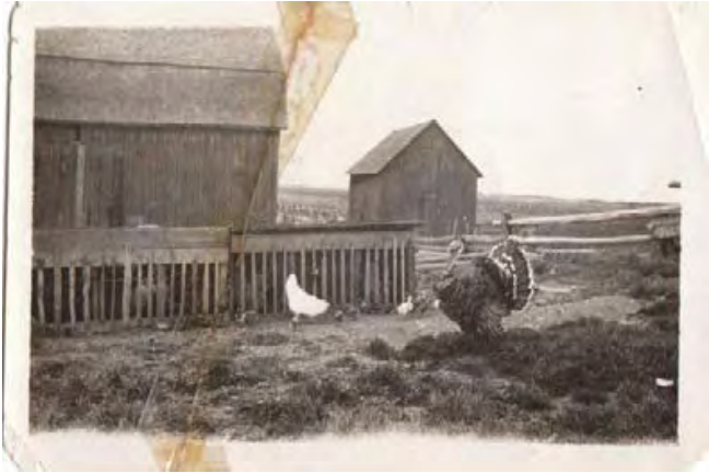 Labine barn and out buildings in Azilda