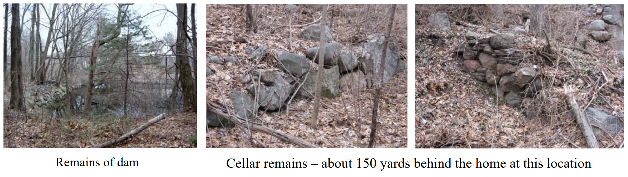 Acadian Sites Massachusetts